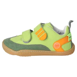 AHORN - Barfußschuhe Grün
