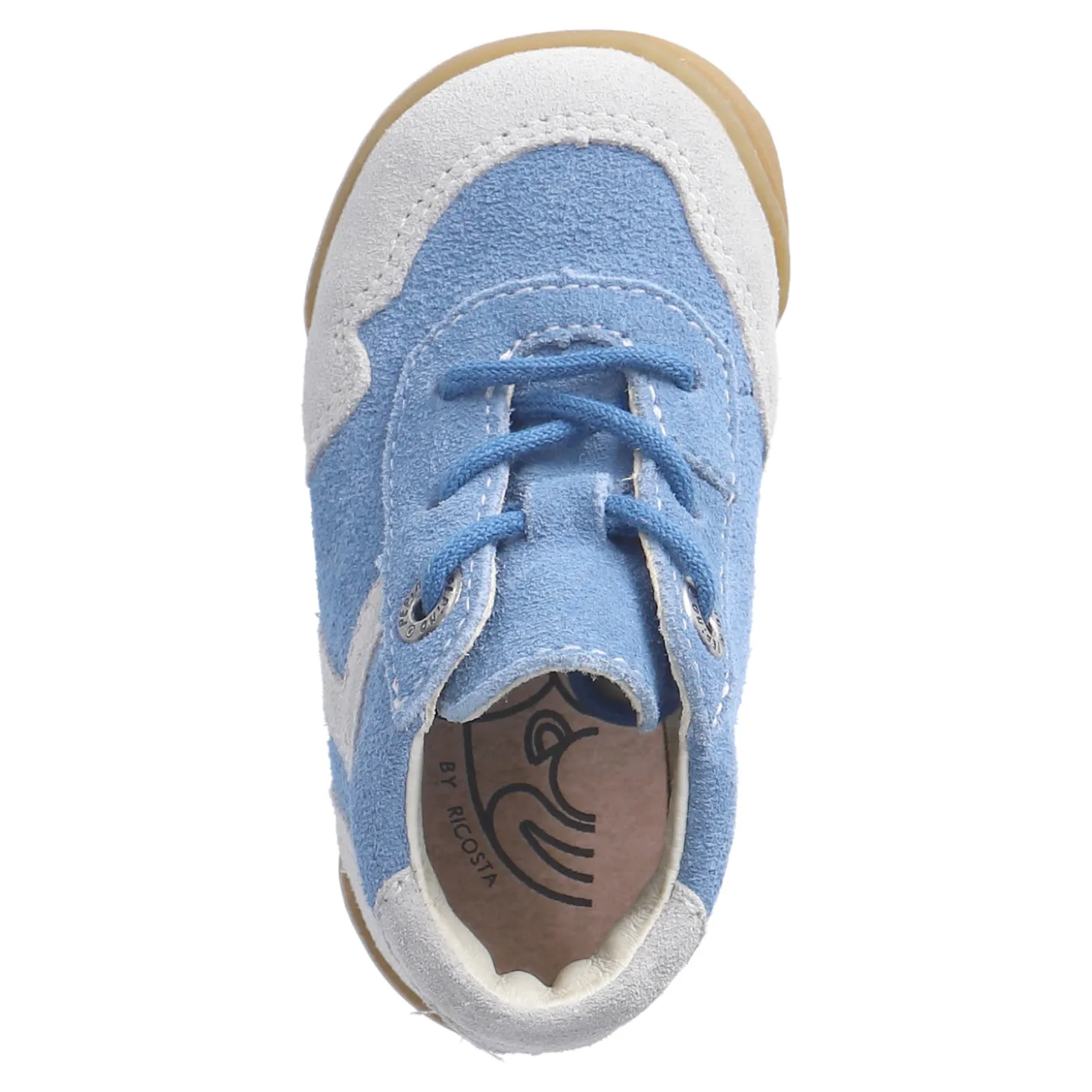 EDDY - Barfußschuhe Blau